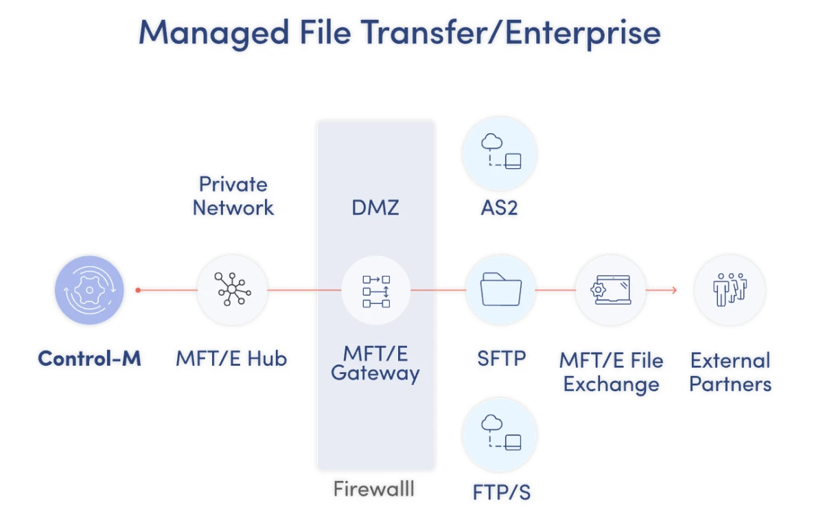 Il grafico mostra i processi di trasferimento file gestiti da Control-M.