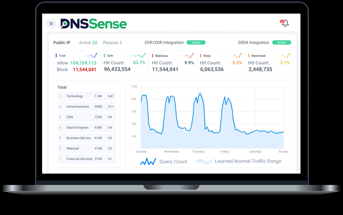 DNS algılama kontrol paneli DNS algılama kontrol paneli